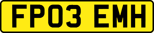 FP03EMH