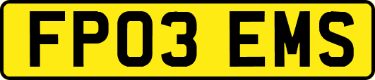 FP03EMS
