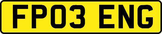 FP03ENG