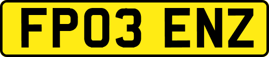 FP03ENZ