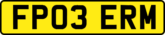 FP03ERM