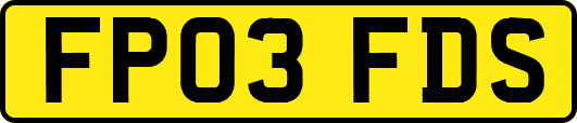 FP03FDS