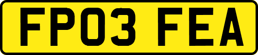 FP03FEA