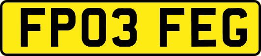 FP03FEG