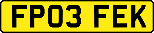 FP03FEK