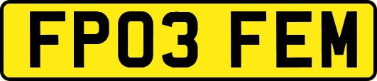 FP03FEM