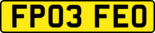 FP03FEO
