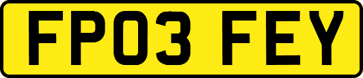 FP03FEY