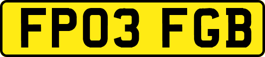 FP03FGB