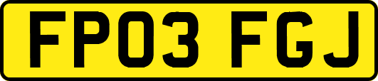 FP03FGJ