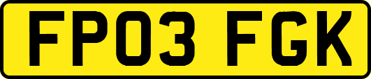 FP03FGK