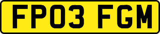 FP03FGM