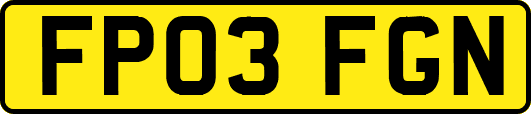 FP03FGN