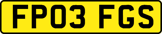 FP03FGS
