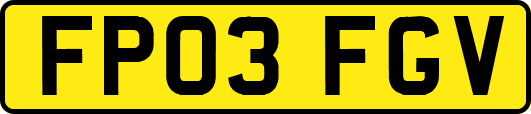 FP03FGV