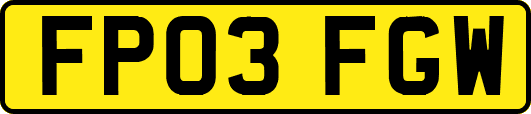 FP03FGW