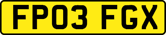 FP03FGX