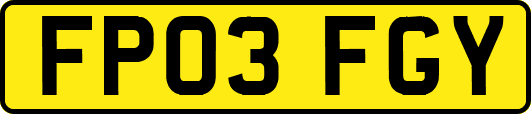 FP03FGY