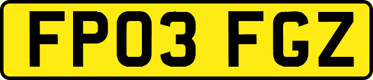 FP03FGZ