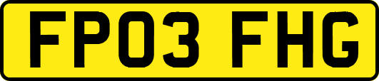 FP03FHG