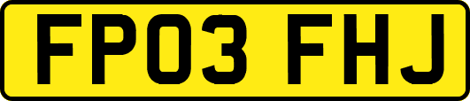 FP03FHJ