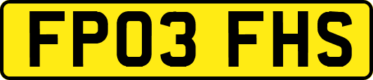 FP03FHS