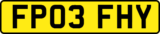 FP03FHY