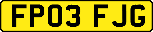FP03FJG