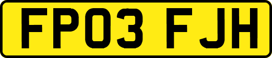 FP03FJH