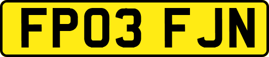 FP03FJN
