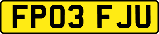 FP03FJU