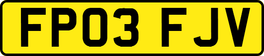 FP03FJV