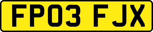 FP03FJX