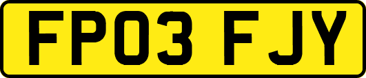 FP03FJY