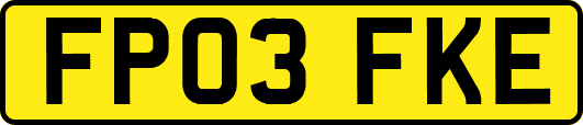 FP03FKE