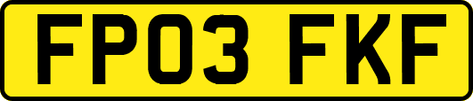 FP03FKF