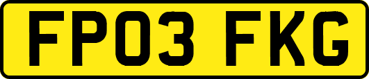 FP03FKG