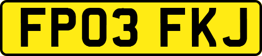 FP03FKJ