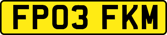 FP03FKM