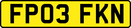 FP03FKN