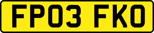 FP03FKO
