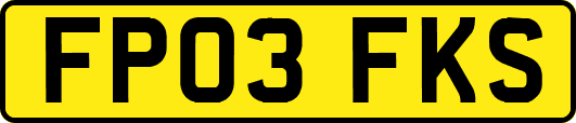 FP03FKS