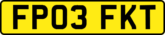 FP03FKT