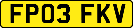 FP03FKV