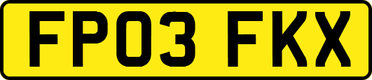 FP03FKX