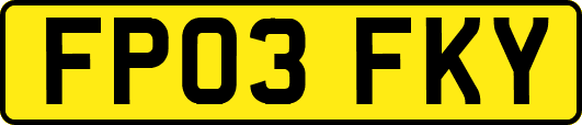 FP03FKY