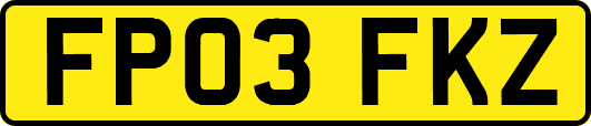 FP03FKZ