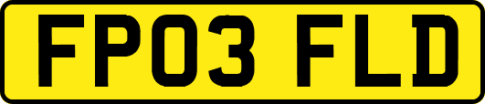 FP03FLD