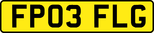 FP03FLG