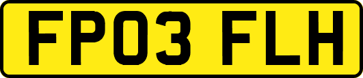 FP03FLH